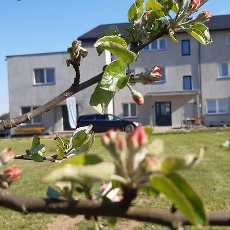 Noclegi nad Biebrzą Stara Szkoła Wrocen Zewnętrze zdjęcie