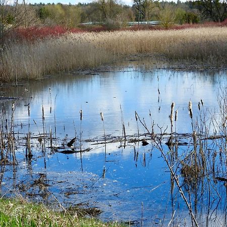 Noclegi nad Biebrzą Stara Szkoła Wrocen Zewnętrze zdjęcie