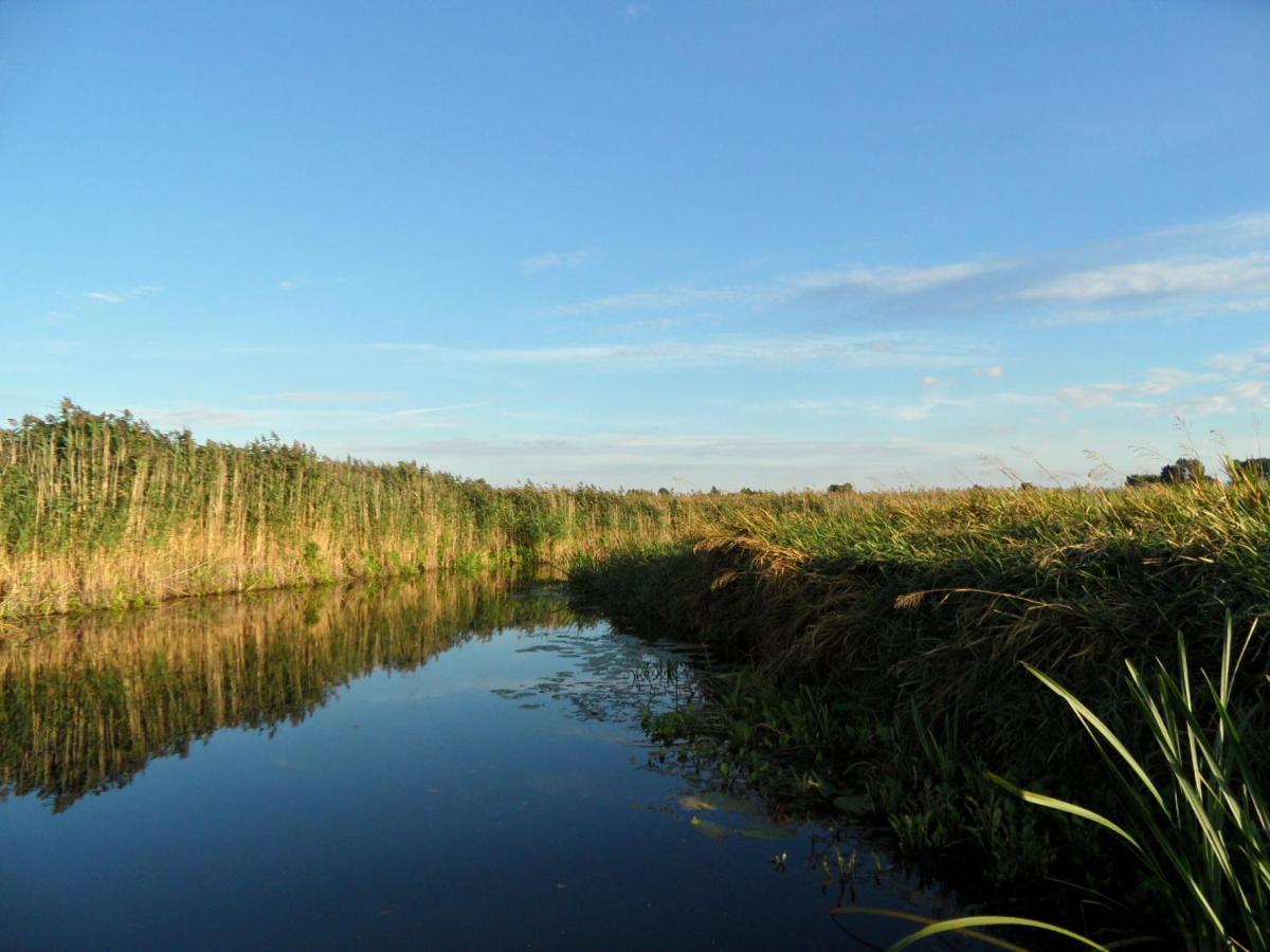 Noclegi nad Biebrzą Stara Szkoła Wrocen Zewnętrze zdjęcie