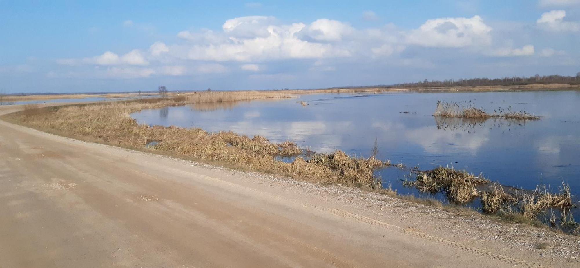 Noclegi nad Biebrzą Stara Szkoła Wrocen Zewnętrze zdjęcie