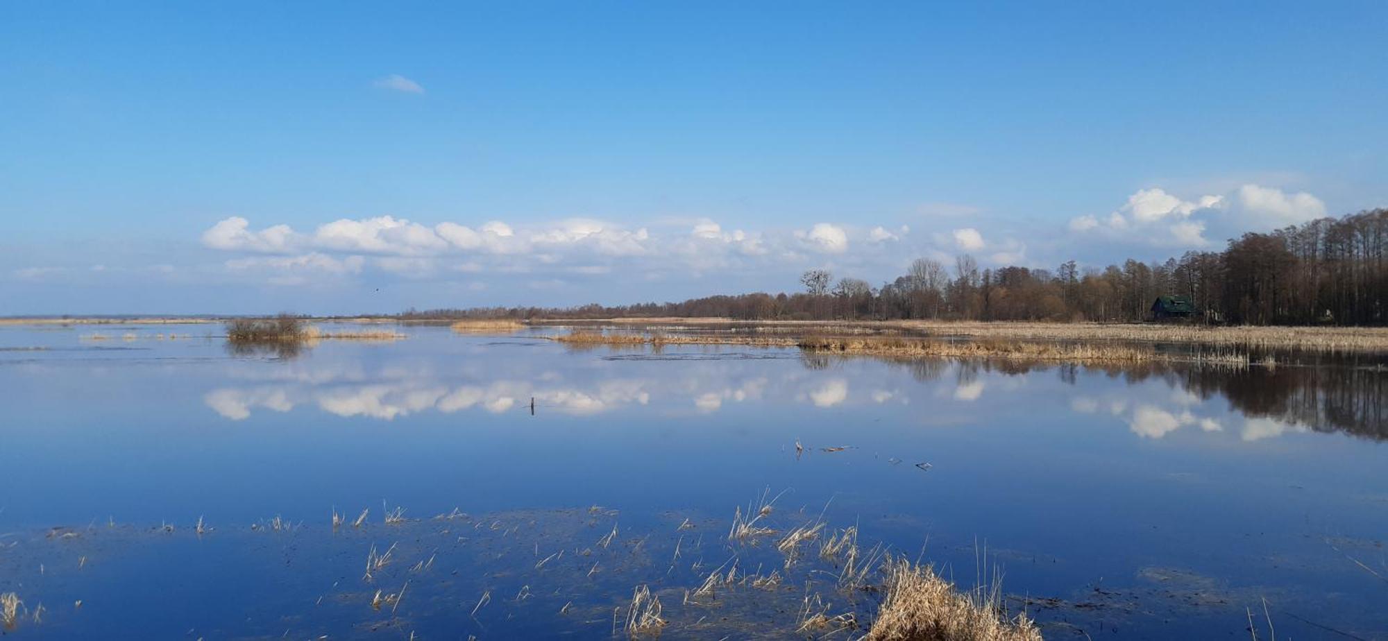 Noclegi nad Biebrzą Stara Szkoła Wrocen Zewnętrze zdjęcie